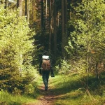 Sens - Denis Marquet